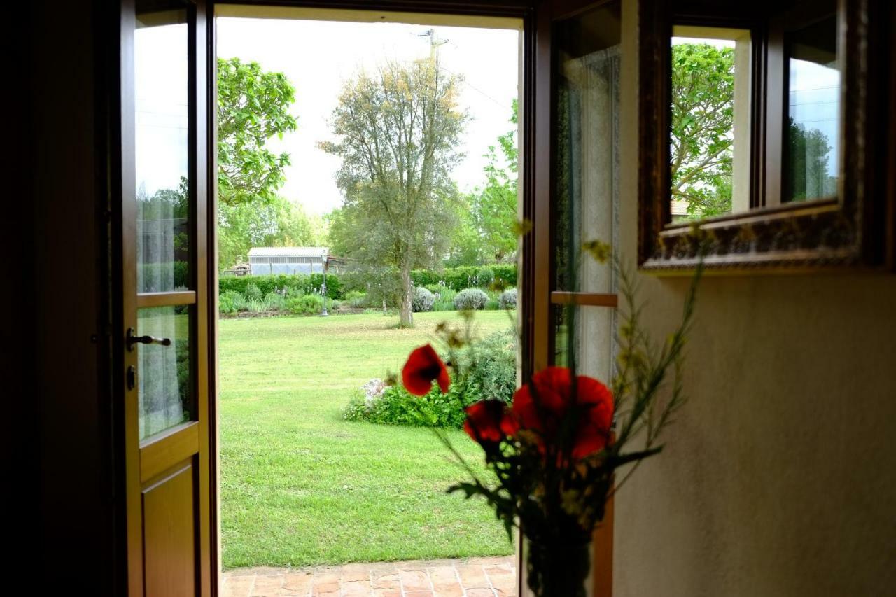 Canto De' Bacci Foiano Della Chiana Esterno foto